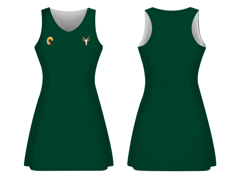 lines springbok dress