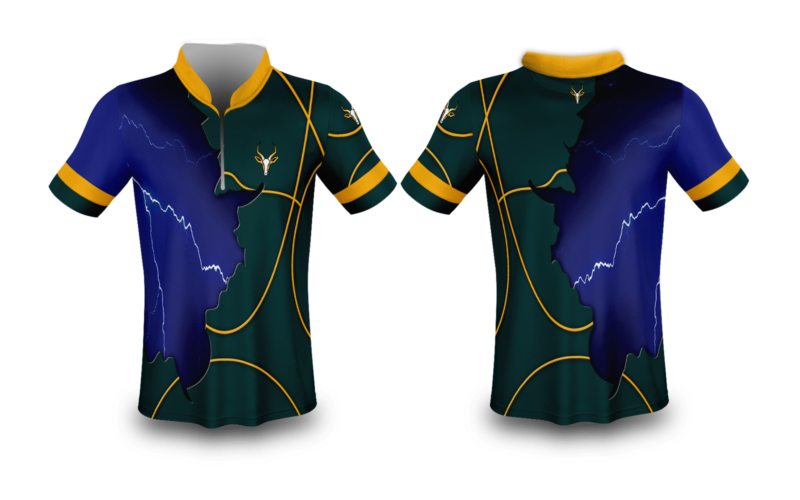 south african springbok stormers
