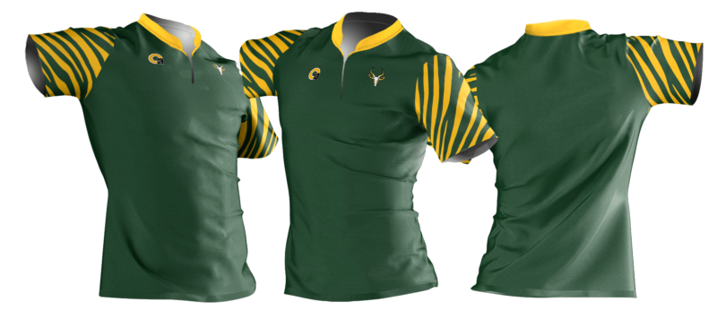springbok shirt lines south africa