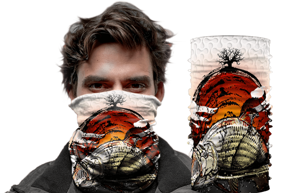 Tigerfish White